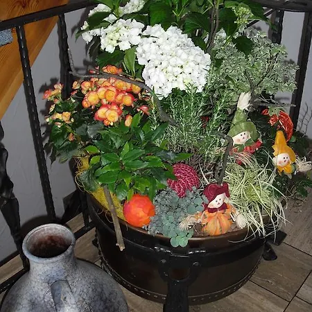 Landgasthof Anker Simmersfeld